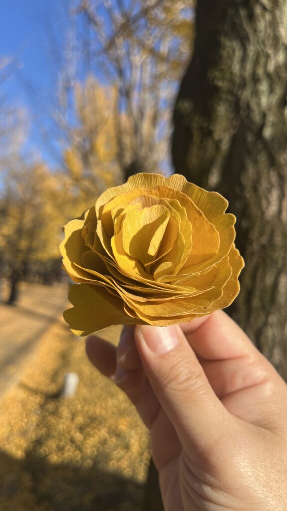 葉っぱビジネス